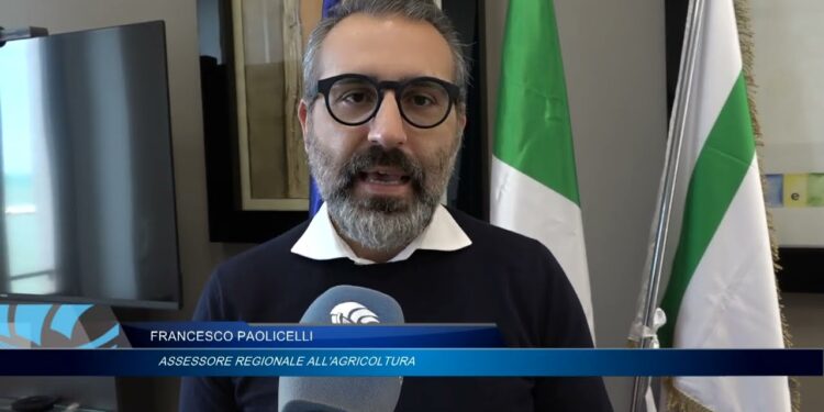 Maltempo, Agricoltori Pugliesi In Ginocchio. Paolicelli: “velocizzare Iter Per Risarcimenti” – Video
