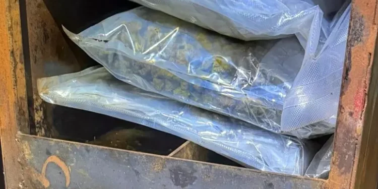 Marijuana