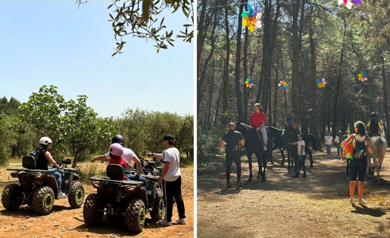 Quad Cavalli