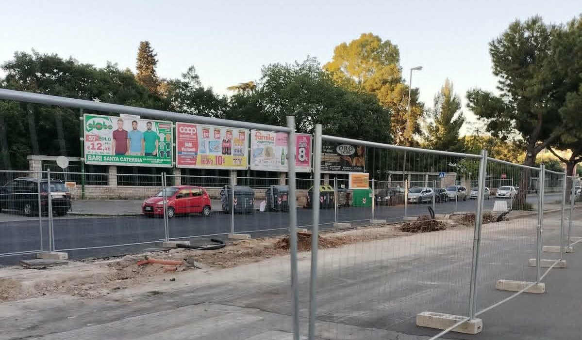Alberi Abbattuti Brt