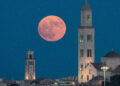 Luna Delle Fragole