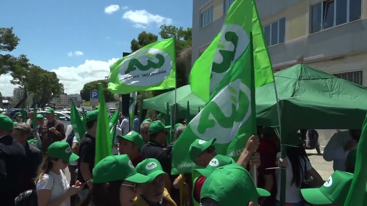 Bari, Flash Mob Cia Al Porto: La Protesta Degli Agricoltori. “qui In Difesa Del Grano Duro Italiano” – Video