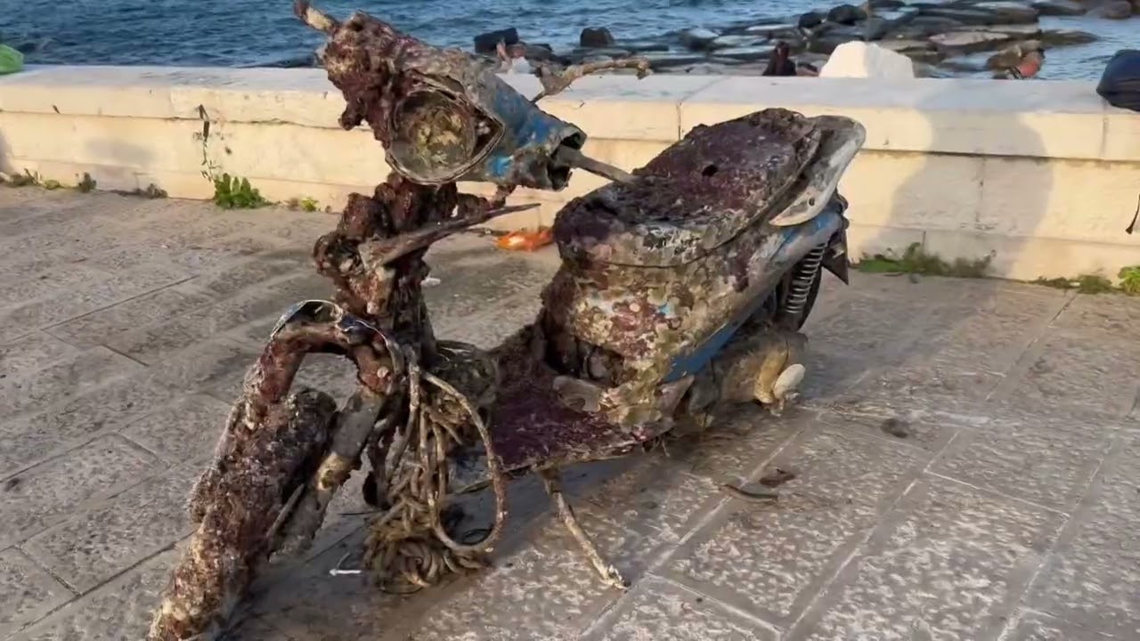 Bari Vecchia, Grandi Pulizie All’angolo Del Paradiso. I Volontari: “sul Fondale Anche Un Motorino” – Video