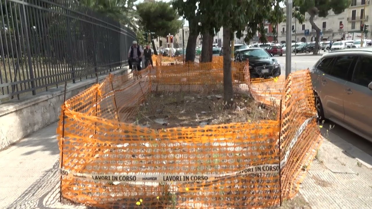 Parco Del Castello, Nel Giardino I Bagni Pubblici Per Bari Vecchia: “lavori Al Via Entro L’anno” – Video