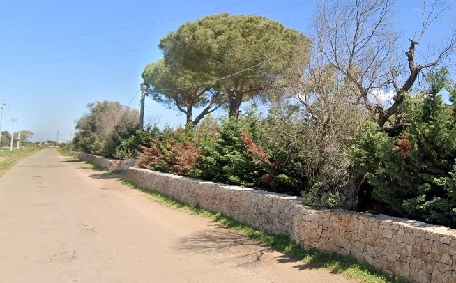 Strada Campagna Masseria Salento
