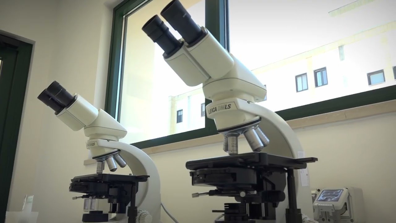 Xylella, Al Ciheam Di Bari Inaugurato Nuovo Laboratorio Fitosanitario: “per Prevenire E Controllare” – Video